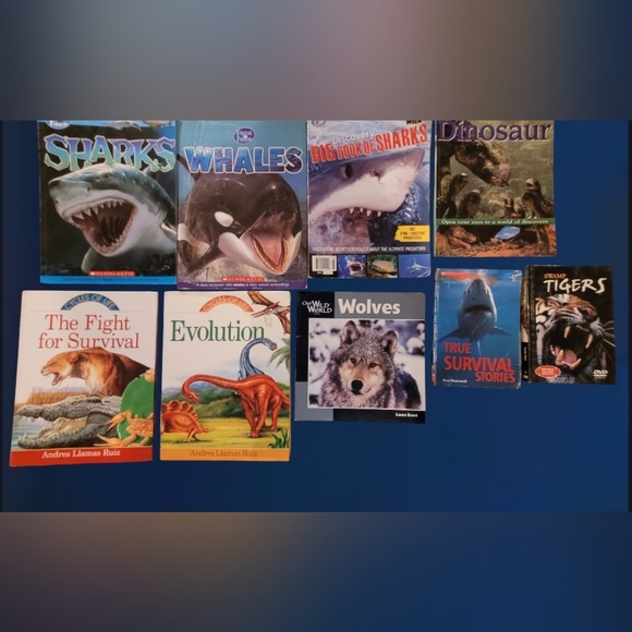 EDUCATIONAL LOT 12 CHILDREN/YOUNG READER BOOKS ~ SHARKS ~ WILDLIFE ~ SCHOLASTIC - Picture 3 of 5